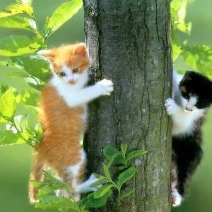 Meet your Posher, Edith